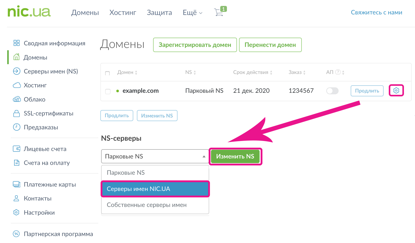 Как часто обновляется dns nic ru