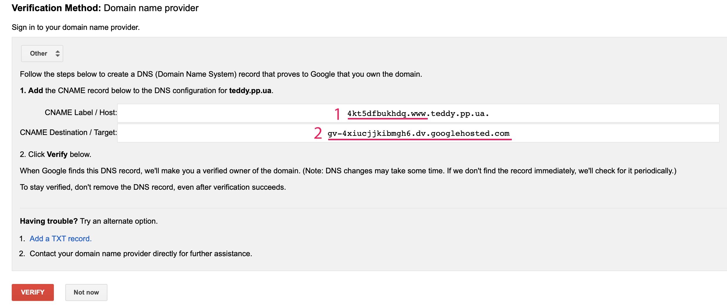 Is Lengthen loyalty CNAME record for domain verification for Google services - Support | NIC.UA
